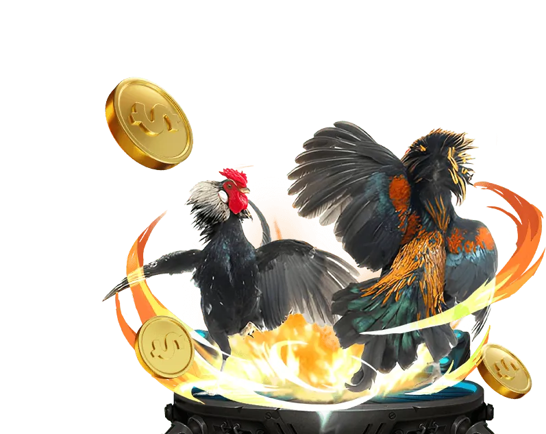 Cập nhật nền tảng và tính năng mới của QQ88